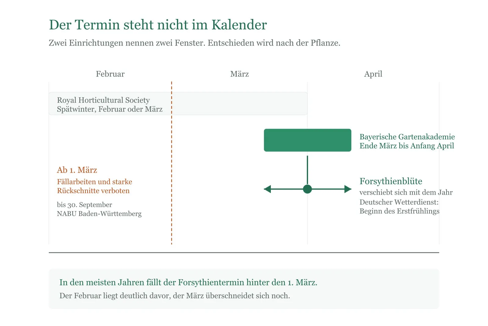 Schema: Zwei Kalenderfenster für den Rosenschnitt und die Forsythienblüte als Signal, das sich mit dem Jahr verschiebt.