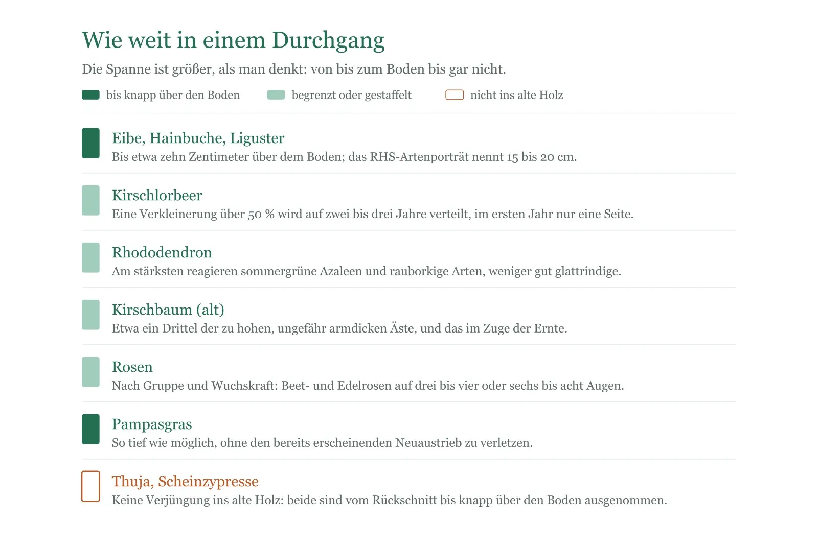 Schema: Wie weit der Rückschnitt bei Eibe, Kirschlorbeer, Rhododendron, Kirschbaum, Rosen, Pampasgras sowie Thuja und Scheinzypresse gehen darf.